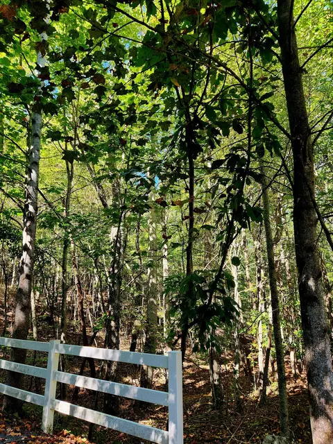 0 Ridge Wood Ln #392, Spencer, TN 38585