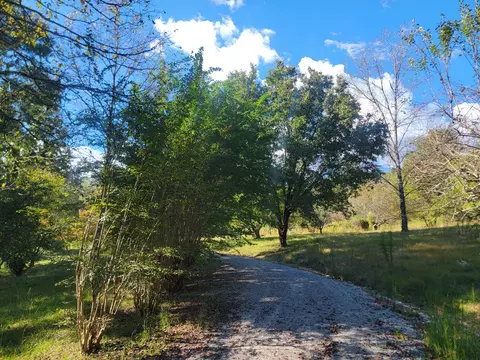 181 Sunshine Ln, Spring City, TN 37381