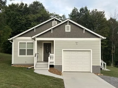 235 Piney Knob Dr, Spring City, TN 37381