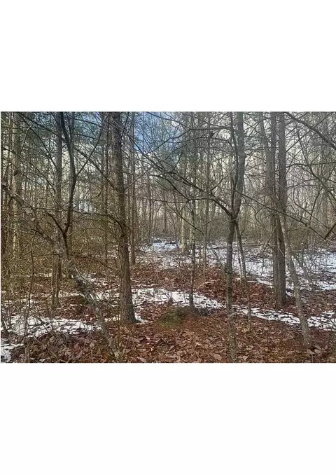 348 Tree Top Cir, Spencer, TN 38585