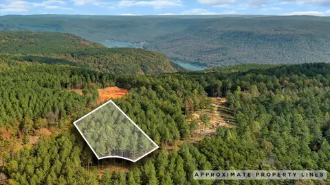 400 Treetop St #LOT 1335, Guild, TN 37340