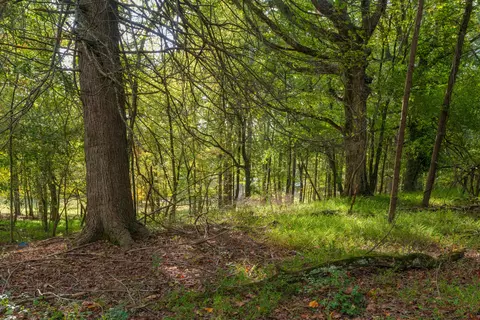 0 Payne Chapel Rd, Lookout Mountain, GA 30750