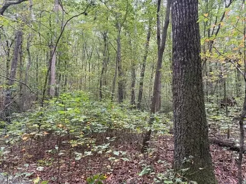 lot2 Tipple Rd #2, Tracy City, TN 37387