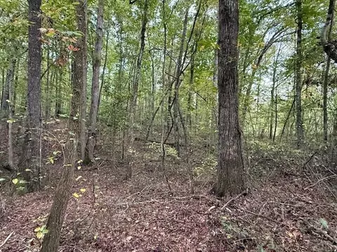 lot4 Tipple Rd #4, Tracy City, TN 37387