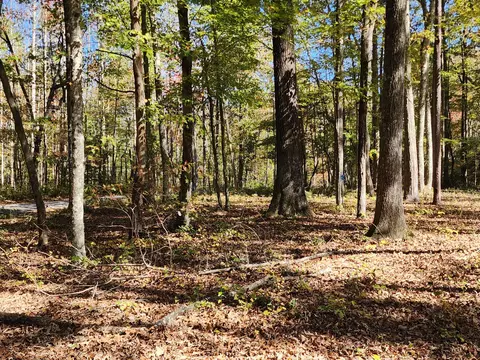 522 Libby Ln, Mentone, AL 35984 photo 19