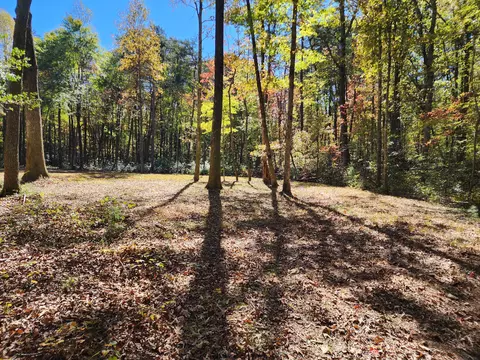522 Libby Ln, Mentone, AL 35984 photo 4