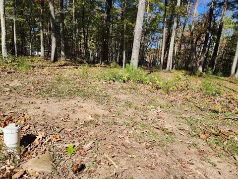 522 Libby Ln, Mentone, AL 35984 photo 11
