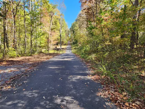 522 Libby Ln, Mentone, AL 35984 photo 5