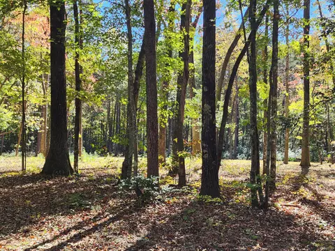 522 Libby Ln, Mentone, AL 35984 photo 20