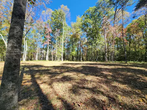 522 Libby Ln, Mentone, AL 35984 photo 7