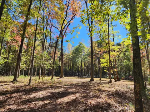 522 Libby Ln, Mentone, AL 35984