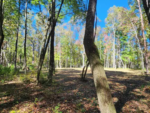 522 Libby Ln, Mentone, AL 35984 photo 16