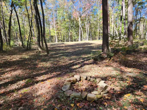 522 Libby Ln, Mentone, AL 35984 photo 2