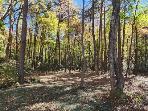 522 Libby Ln, Mentone, AL 35984 photo 12