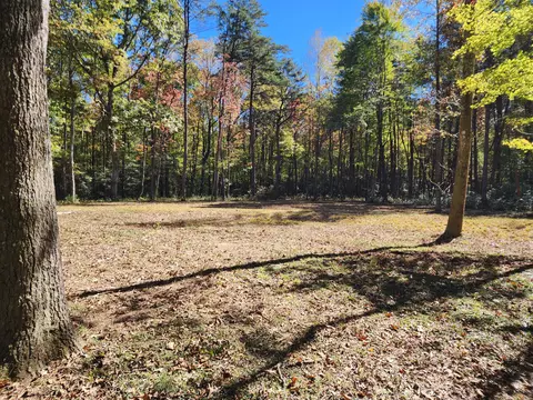 522 Libby Ln, Mentone, AL 35984 photo 9