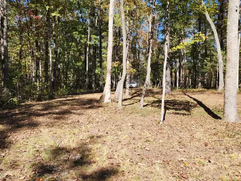 522 Libby Ln, Mentone, AL 35984 photo 18