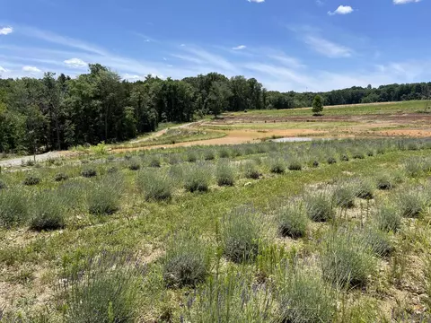 353 Co Rd 170, Athens, TN 37303