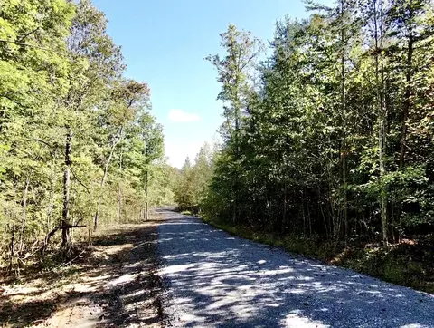 0 Owl Hollow Rd #LOT 5, Palmer, TN 37365