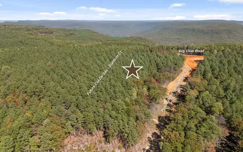 lot2003 Stardust Ct, Guild, TN 37340 photo 5