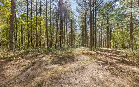 lot2003 Stardust Ct, Guild, TN 37340 photo 10
