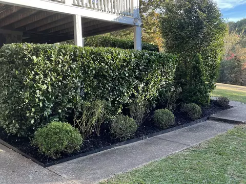 Exterior - 6701 Cooley Rd, Harrison, TN 37341 photo 10 of 12