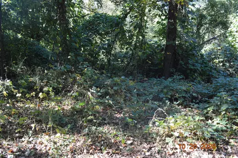 3705 Cross St, Chattanooga, TN 37411