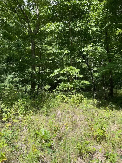 0 Roaring Creek Rd #296, Dunlap, TN 37327