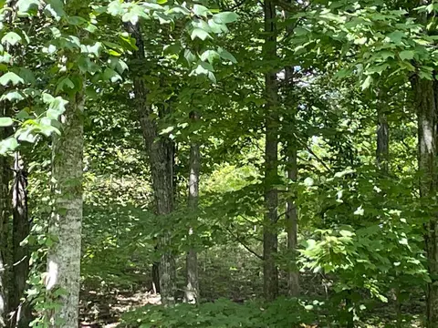 0 Roaring Creek Rd #296, Dunlap, TN 37327