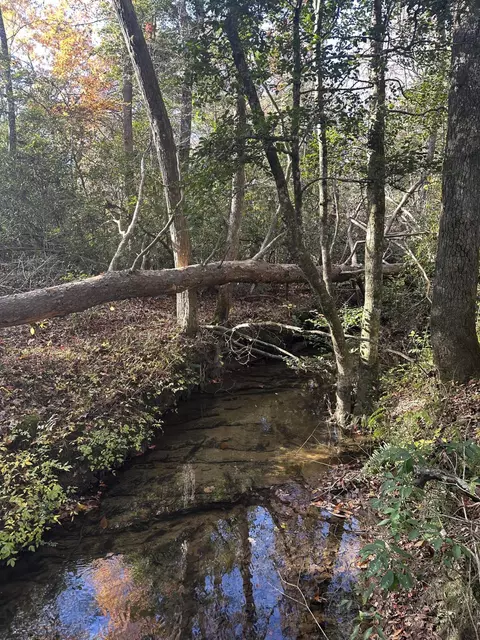 4982 Colony Rd #LOT 6, Gruetli Laager, TN 37339