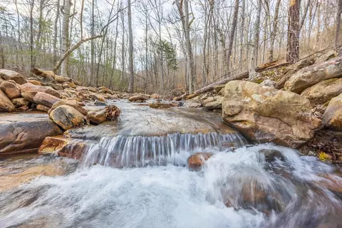 0 Lee Station Mountain Rd #TRACT 90, Pikeville, TN 37367
