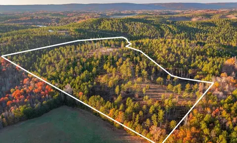 4090 County Road 62, Gaylesville, AL 35973