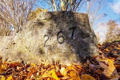267 Williams Rd, Dunlap, TN 37327 photo 54
