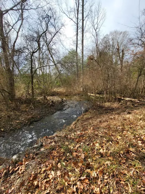 0 Hudlow Loop Rd #4.1 AC, Dunlap, TN 37327 photo 8