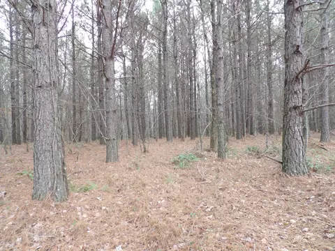 lot19 Summercity Rd, Evensville, TN 37332