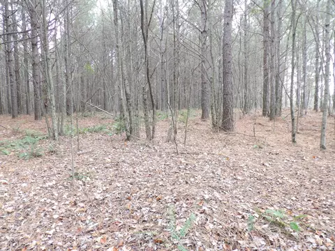 lot20 Summercity Rd, Evensville, TN 37332