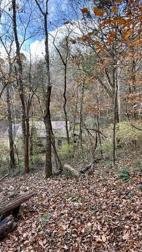 020 Sinking Cove Rd, Sherwood, TN 37376