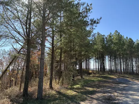4690 Split Rail Way #1359, Guild, TN 37340