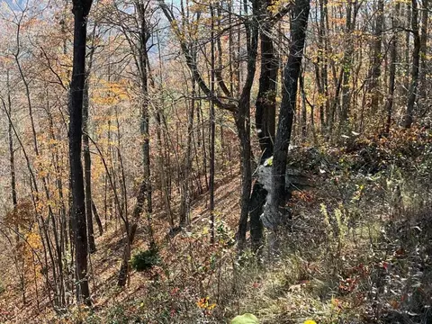 4690 Split Rail Way #1359, Guild, TN 37340 photo 26