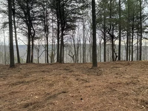 4690 Split Rail Way #1359, Guild, TN 37340 photo 7