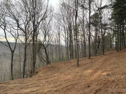 4690 Split Rail Way #1359, Guild, TN 37340 photo 10