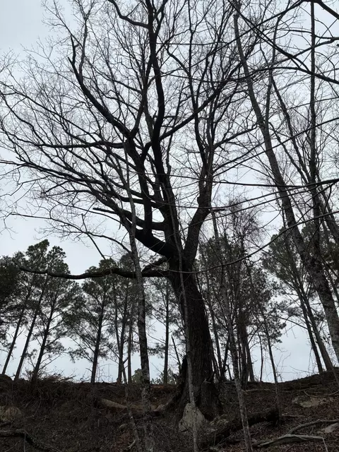 4690 Split Rail Way #1359, Guild, TN 37340 photo 21