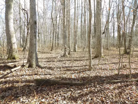 lot1 Cyrus Daniels Rd, Evensville, TN 37332