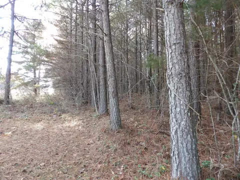 lot22 Summercity Rd, Evensville, TN 37332