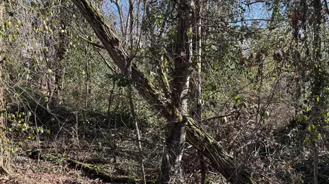 0 Skyline Park Dr, Signal Mountain, TN 37377