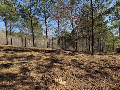 14 Turkey Run, Flintstone, GA 30725