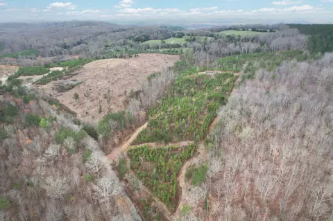 00 Big Sewee #LOT 5, Decatur, TN 37322