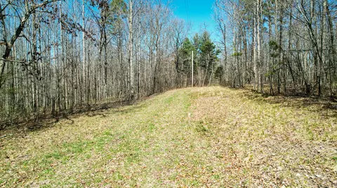 40 Acres County Road 492, Henagar, AL 35978