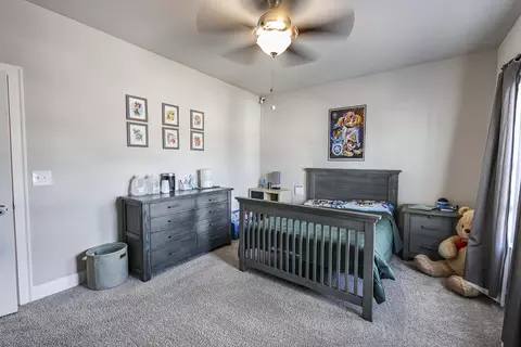 Bedroom - 3331 Grassy Fields Ln, Apison, TN 37302 photo 6 of 11