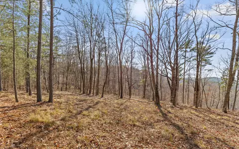 lot1179 Split Rail Way, Guild, TN 37340 photo 8