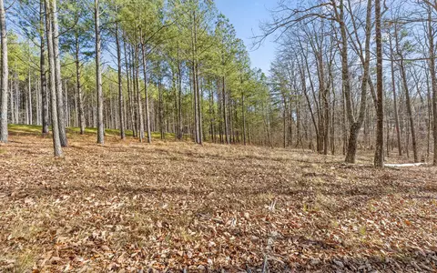 lot1179 Split Rail Way, Guild, TN 37340 photo 10
